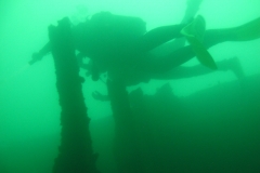SS Margit