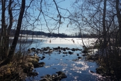 Semsvann